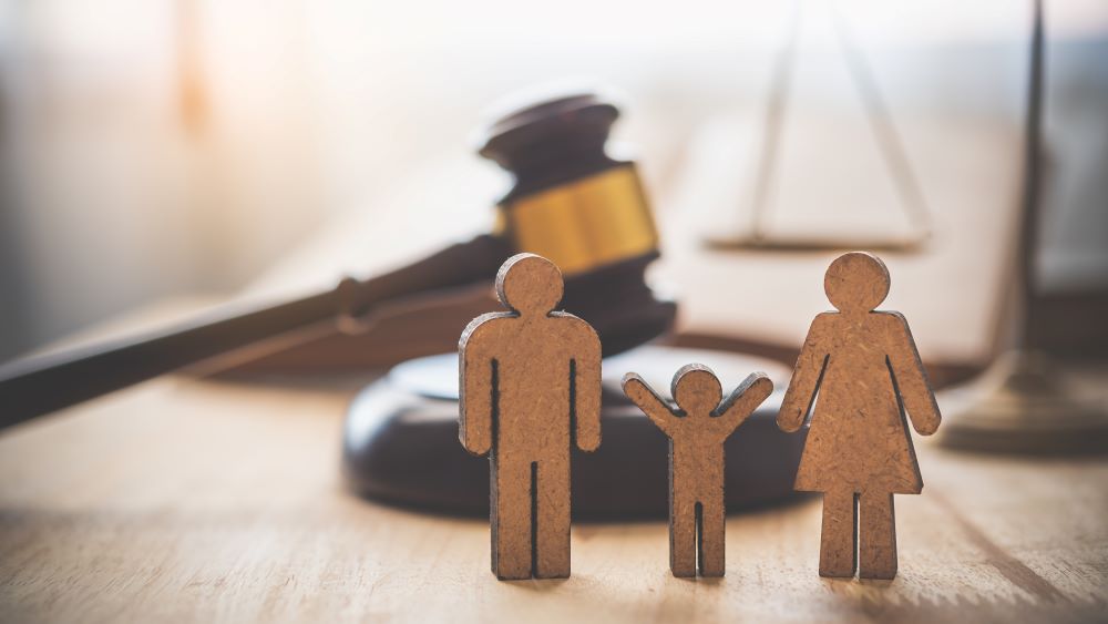 Legal Options for Families